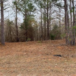 Old Center Road - Attala County