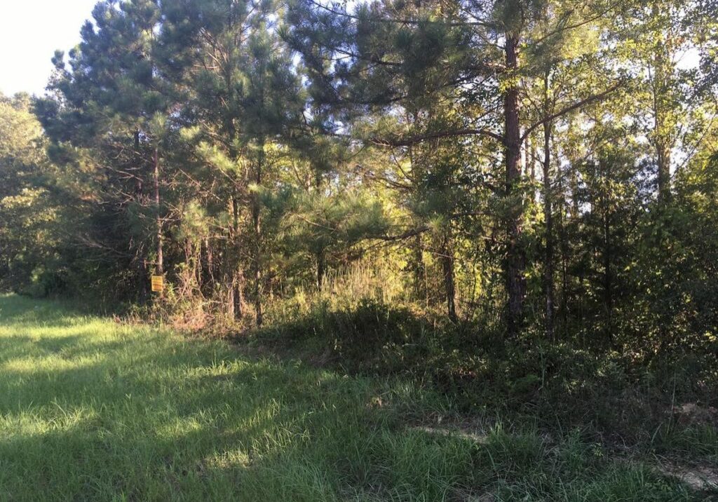 Lake Road and Damascus Church Road 00008