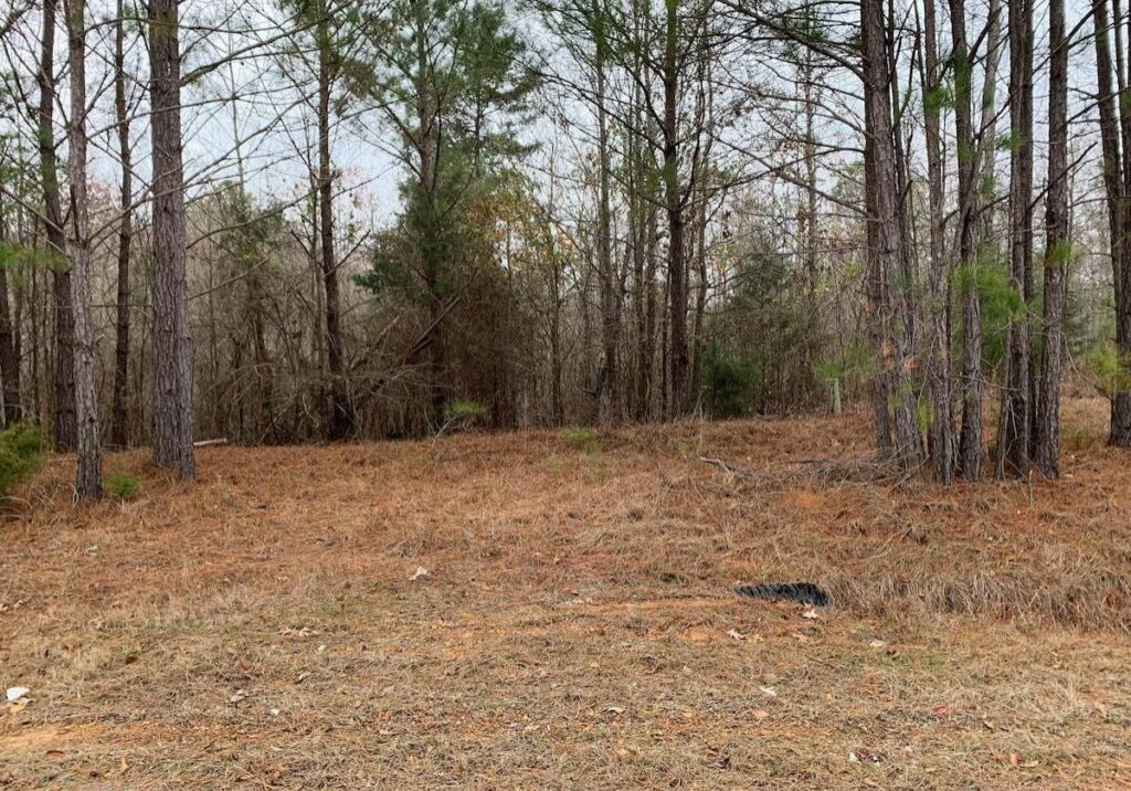 Old Center Road 00006